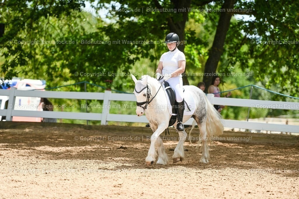 20230715_05_Dressurprüfung Kl.A++_0240 | equistock