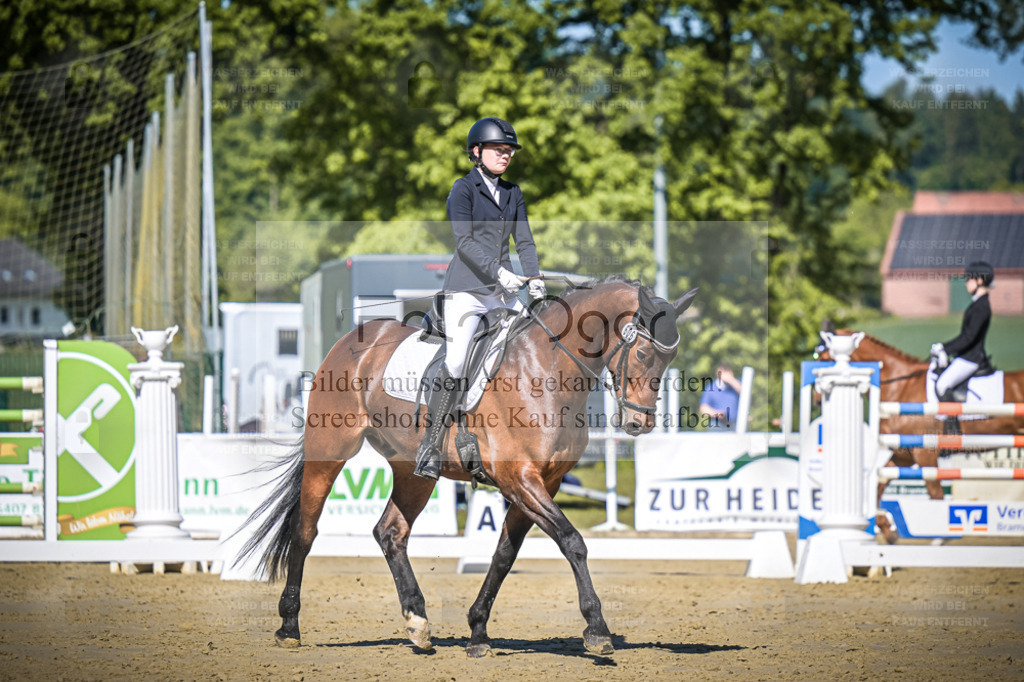 DOS_4285 | Entdecke hochwertige Reitturnierfotos von Foto Oger. Professionell, emotional und authentisch – jetzt Lieblingsmomente im Shop bestellen. - Realisiert mit Pictrs.com