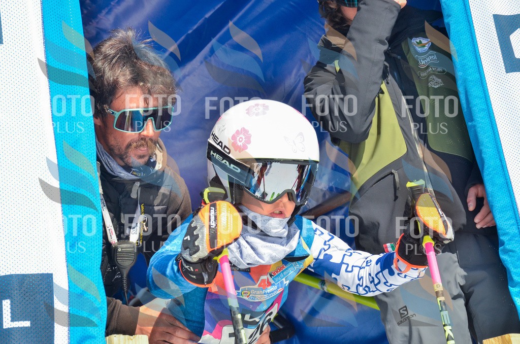 _ELE6063 | holidayphoto