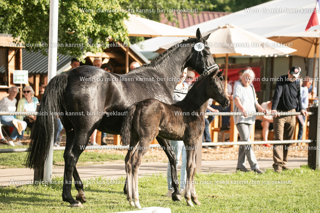 598A7333 | photographylinaismer - Realisiert mit Pictrs.com