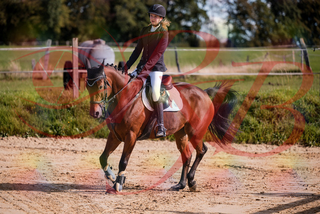 2026_10_03_Siefer-Hof_143552_Z81_05062583 | Professionelle Reitsport-, Turnier- und Eventfotografie von Robert Broda. Galerien mit ausgewählten und bearbeiteten Bildern direkt online ansehen und bestellen.