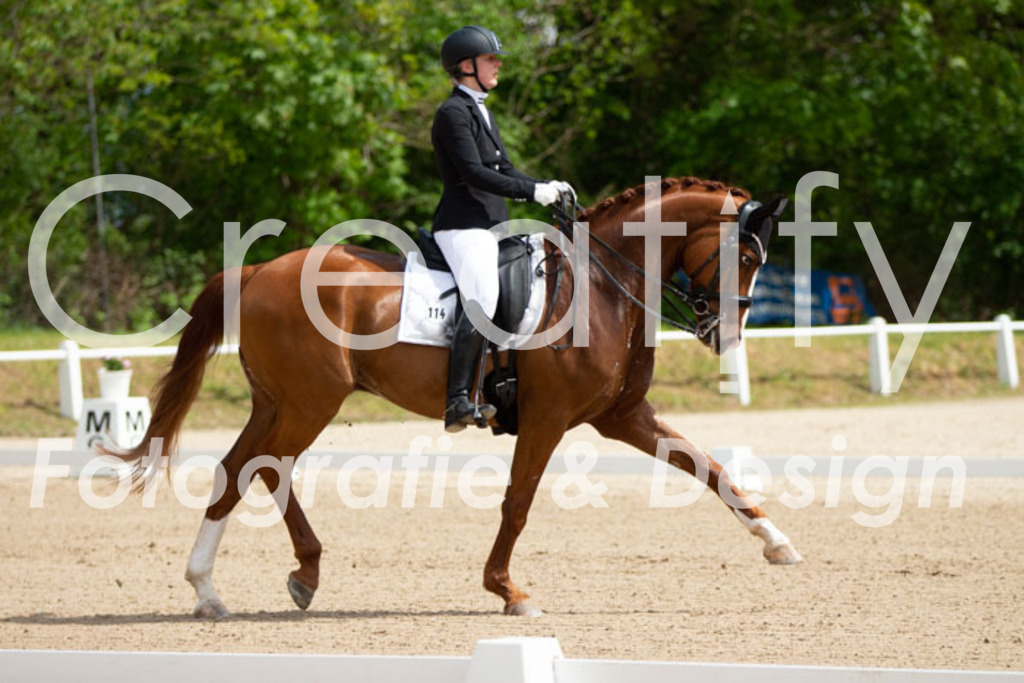 IMG_6427 | Creatify Fotografie