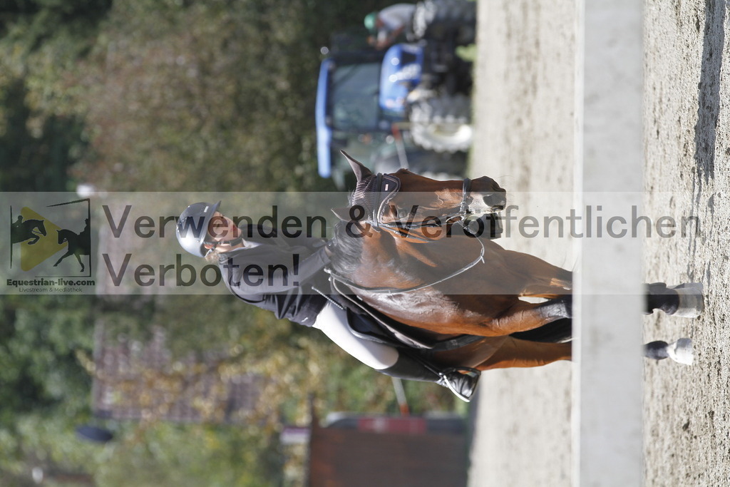 _MG_6089 | equestrian-live-com