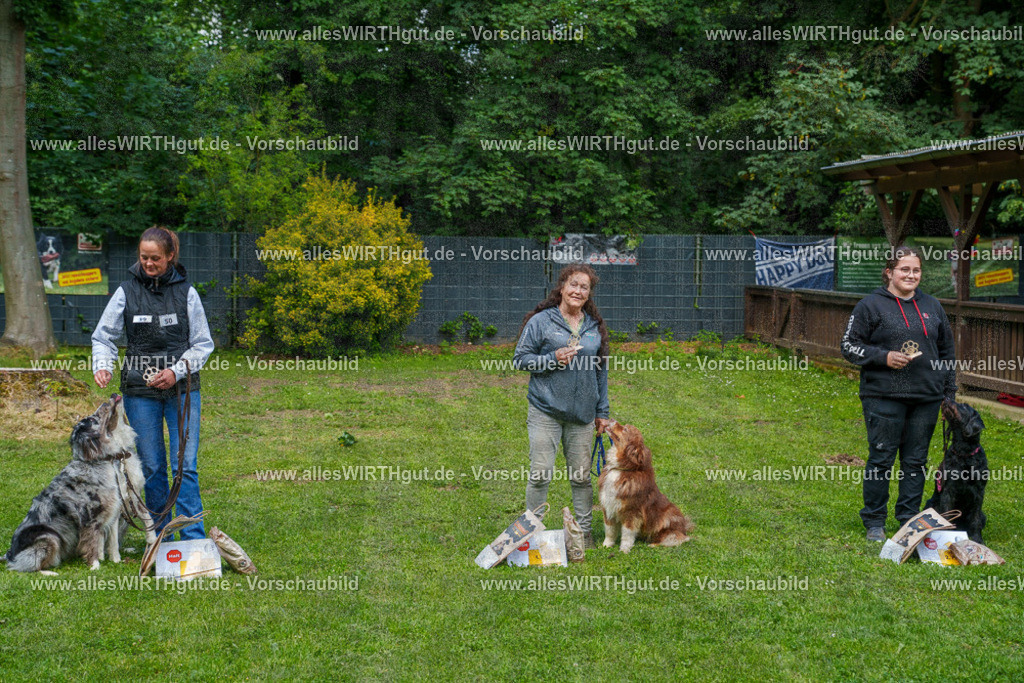 @allesWIRTHgut_Tierfotografie - www.allesWIRTHgut.de - 7R506167 | Professionelle Tierfotografie in Mönchengladbach von Daniel Wirth (allesWIRTHgut). Liebevolle & natürliche Bilder von Hunden & Katzen für unvergessliche Erinnerungen.