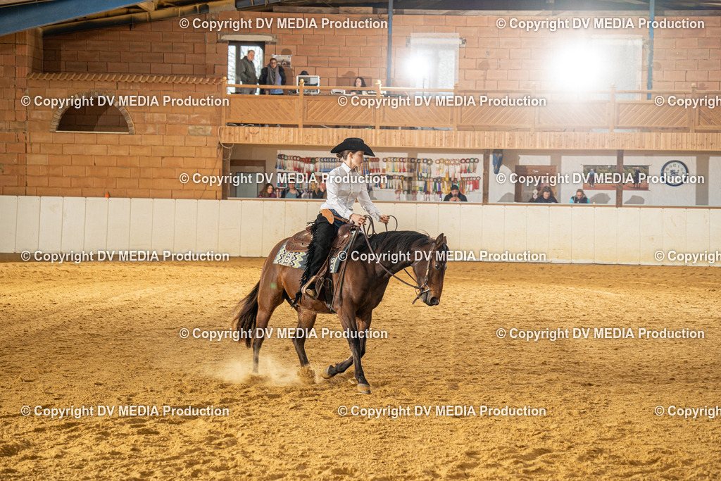 MIT00724 | dv-media-shop - Realisiert mit Pictrs.com