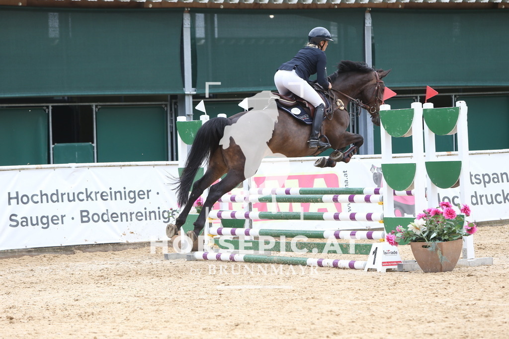 DL2Q1707 | Willkommen bei Brunnmayr - Design & Fotografie – Ihrem Spezialisten für Reitturniere und Pferdeveranstaltungen in Oberösterreich, Salzburg und Bayern! Seit über 17 Jahren sind wir leidenschaftlich dabei.