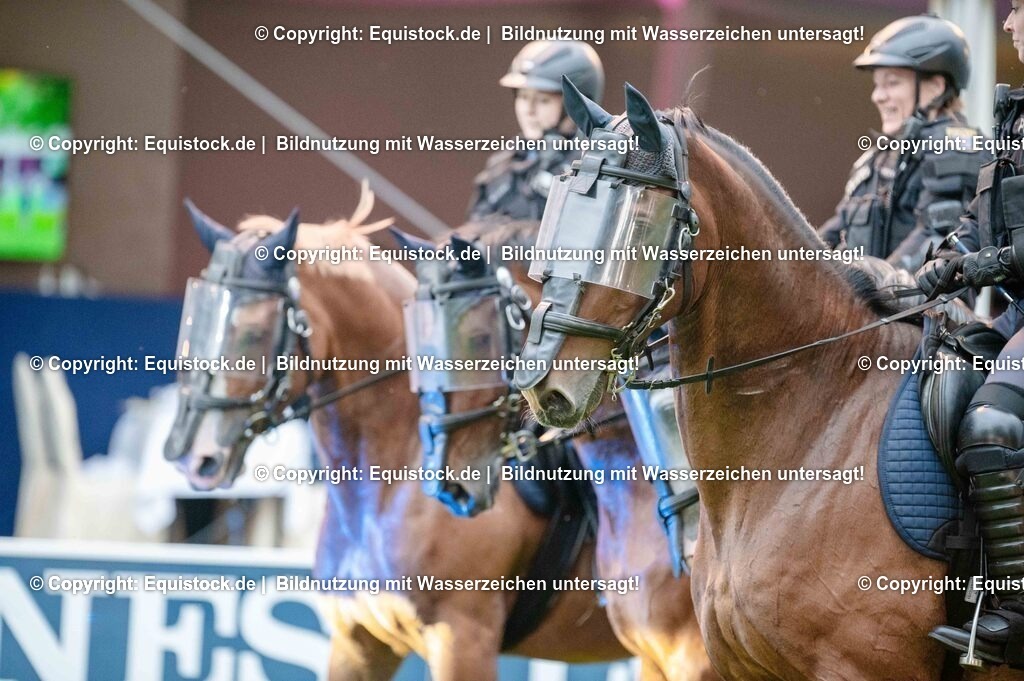 20250606_Lange-Pferdenacht_0836 | Foto: Thomas Hartig