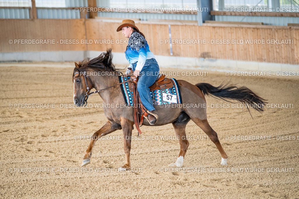 DSC01745 | Pferdegrafie