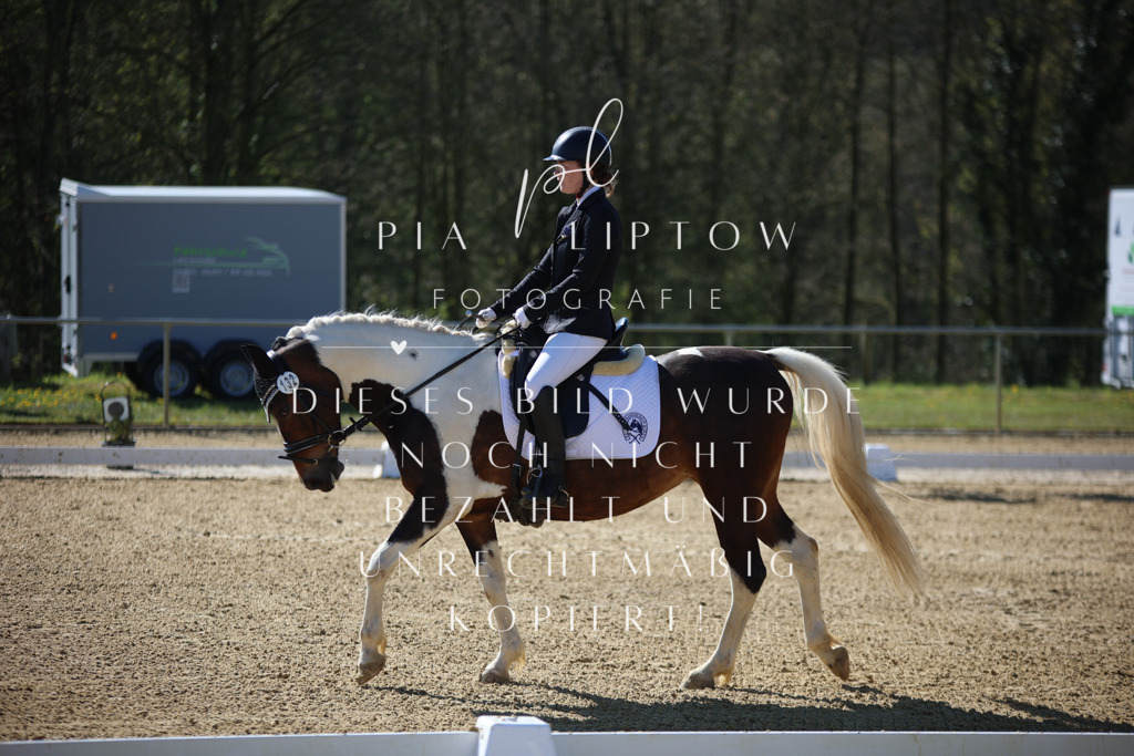 IMGT9738 | pl-fotografie