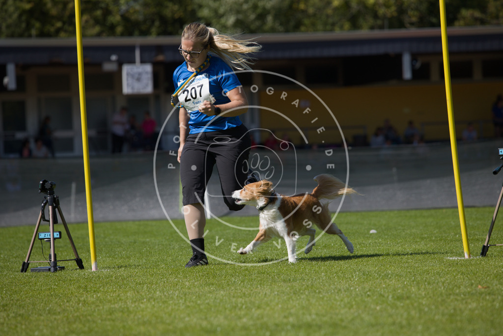 0L8A5845 | Hundefotografie, Tierfotograf, Pfotenfotografie, Fotoshooting Hund, Hunde Portrait, Hundesport, Hundeportraits, Heideshooting, Hunde, Sportfotograf, Hundefotograf, Turnierhundsport, THS,  - Realisiert mit Pictrs.com