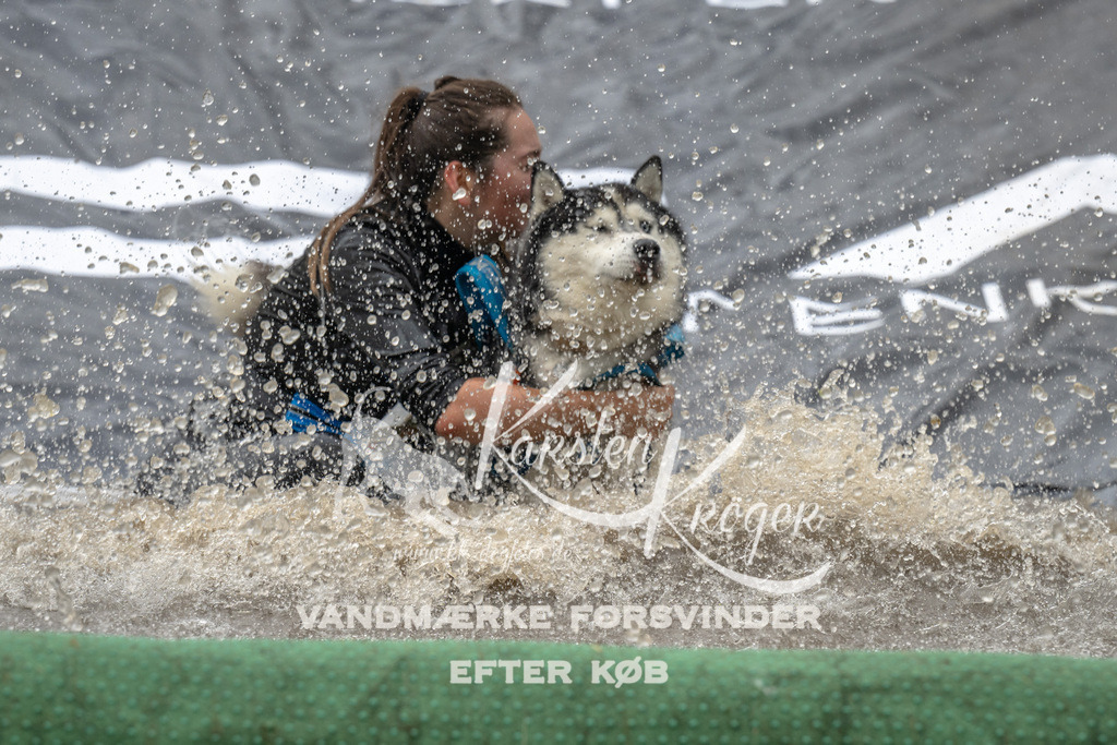 1558_ZZ91755 | kk-dogfotos