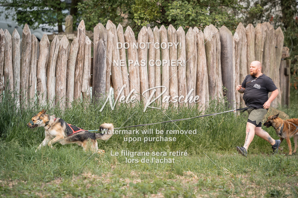 nelerasche_So-funtrail_08 | nelerasche