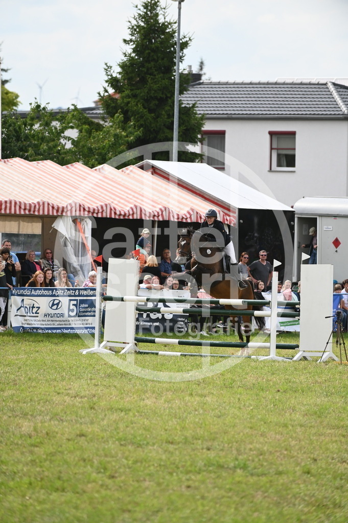 DSC_2978 | sattelsport - Realisiert mit Pictrs.com