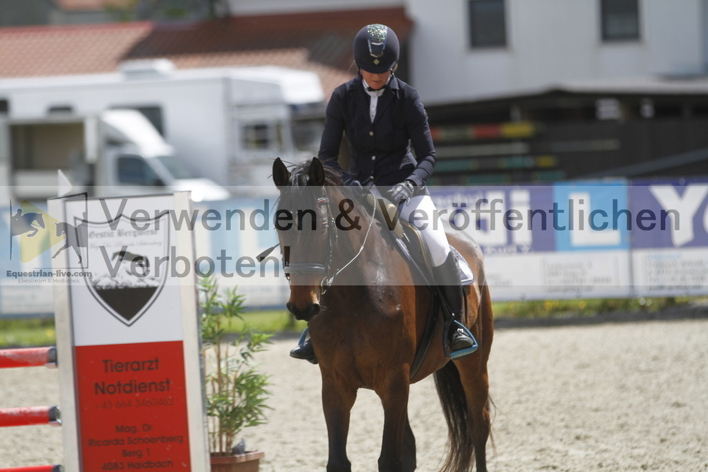 _MG_2097 | equestrian-live-com