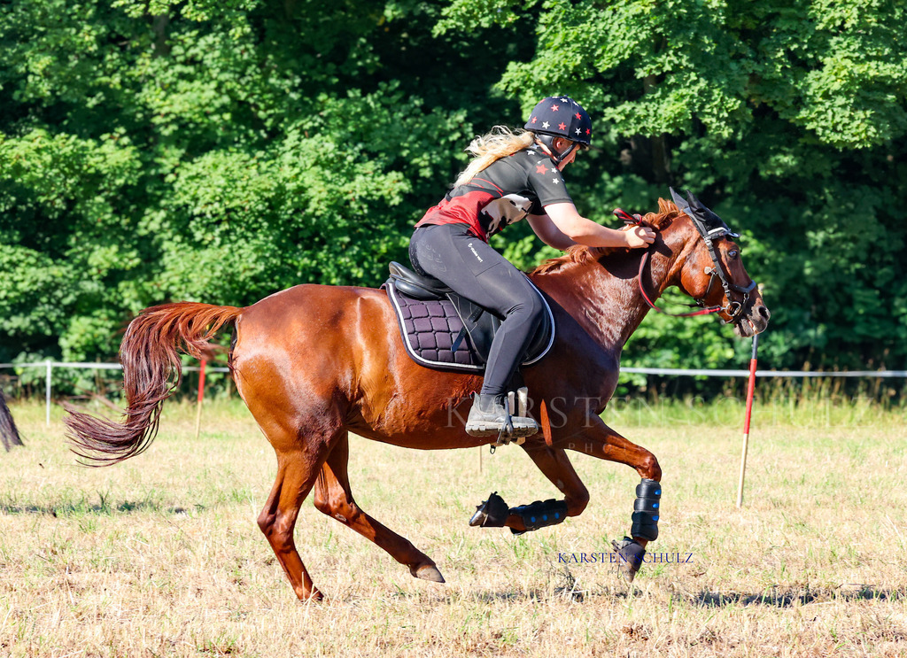1B3A8441 | Reitsport Reiten
