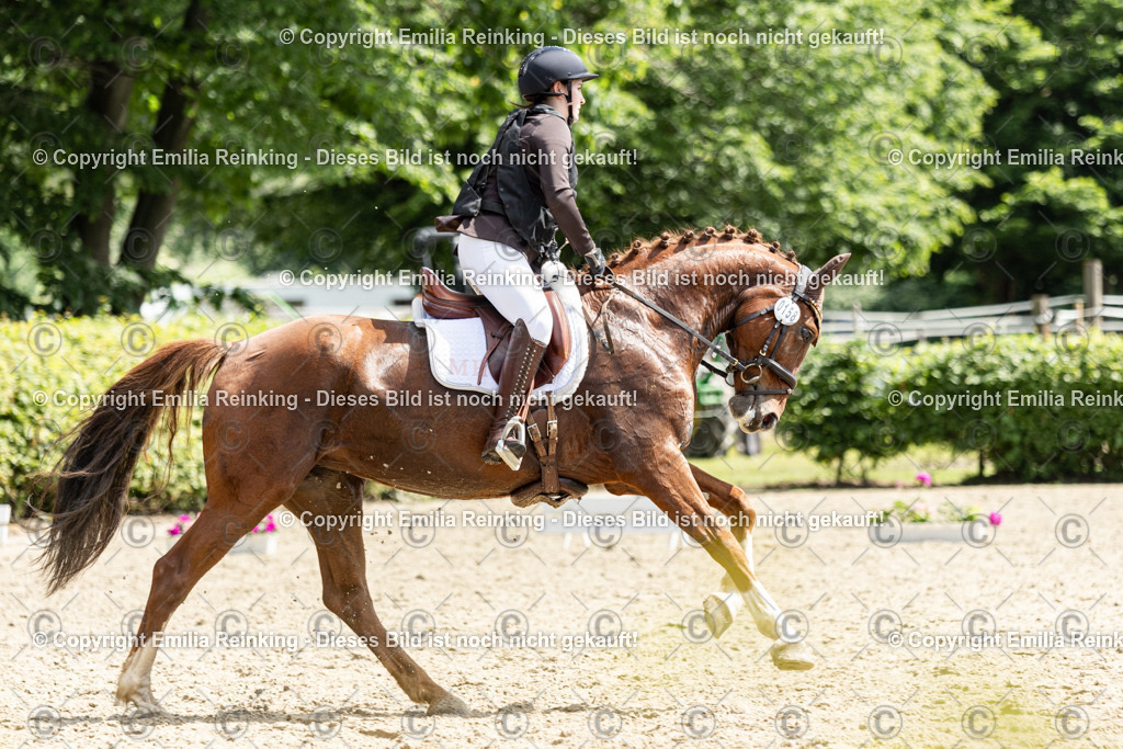 CL5A8118 | Emilia Reinking Fotografie - Realisiert mit Pictrs.com