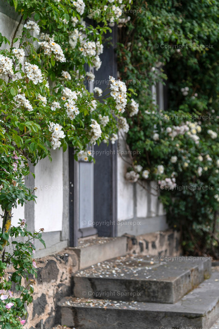 CRO_Romantic_Germany117_Bokeh | sparepix - Realisiert mit Pictrs.com
