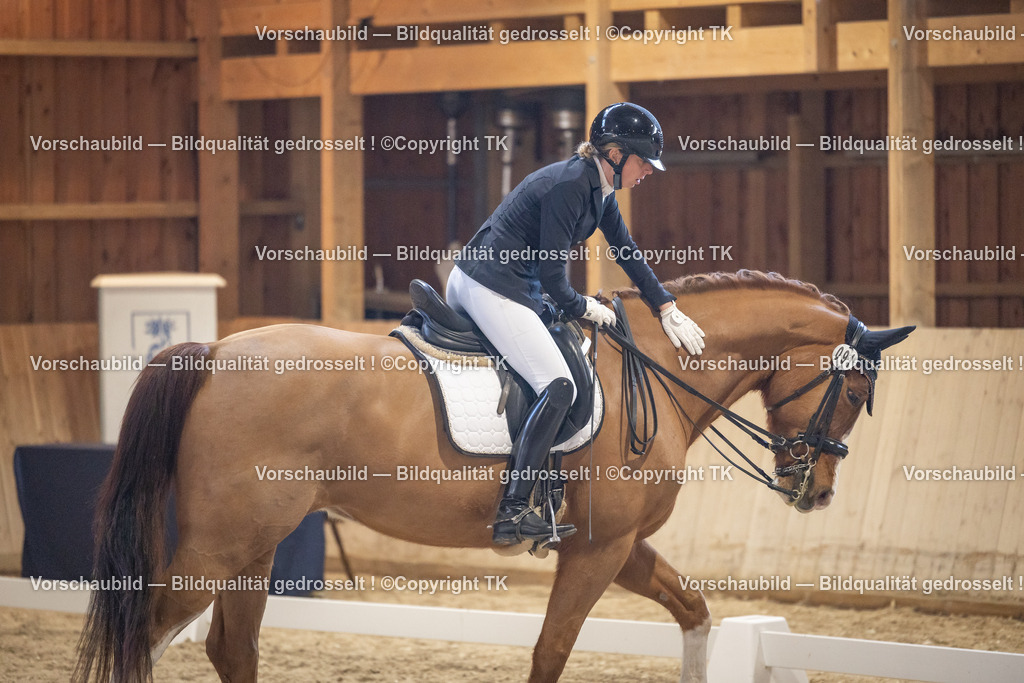 _D5A1814 | Emotionale Pferde- & People-Fotografie rund um Heidelberg, Leimen & Umgebung. Natürliche Fotos von Pferd, Mensch & Familie. Jetzt Termin sichern!