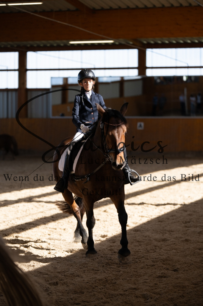 A7V02146 | Turnier/Reitfotograf