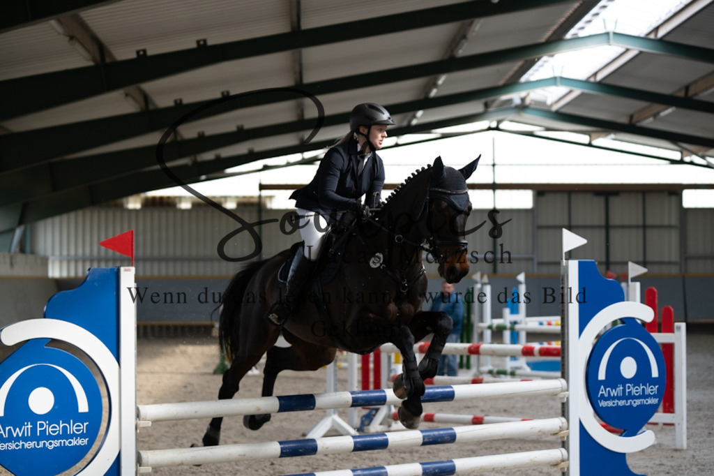 A7V08323 | Pferdefotograf