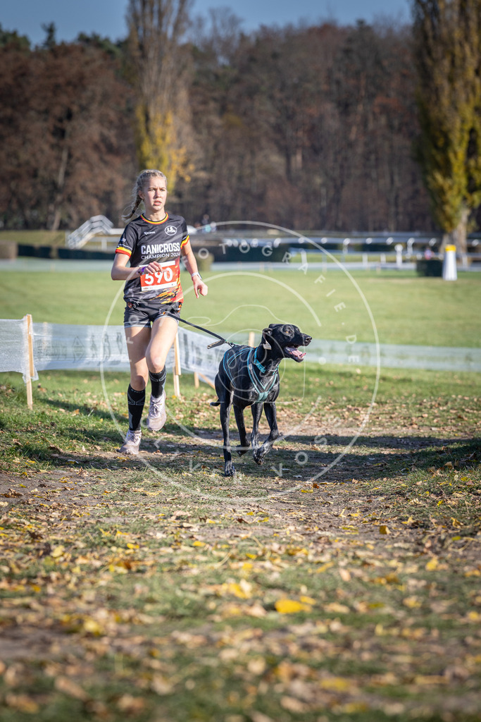 CaniXpix_DV3A9231 | Hundefotografie, Tierfotograf, Pfotenfotografie, Fotoshooting Hund, Hunde Portrait, Hundesport, Hundeportraits, Heideshooting, Hunde, Sportfotograf, Hundefotograf, Turnierhundsport, THS,  - Realisiert mit Pictrs.com