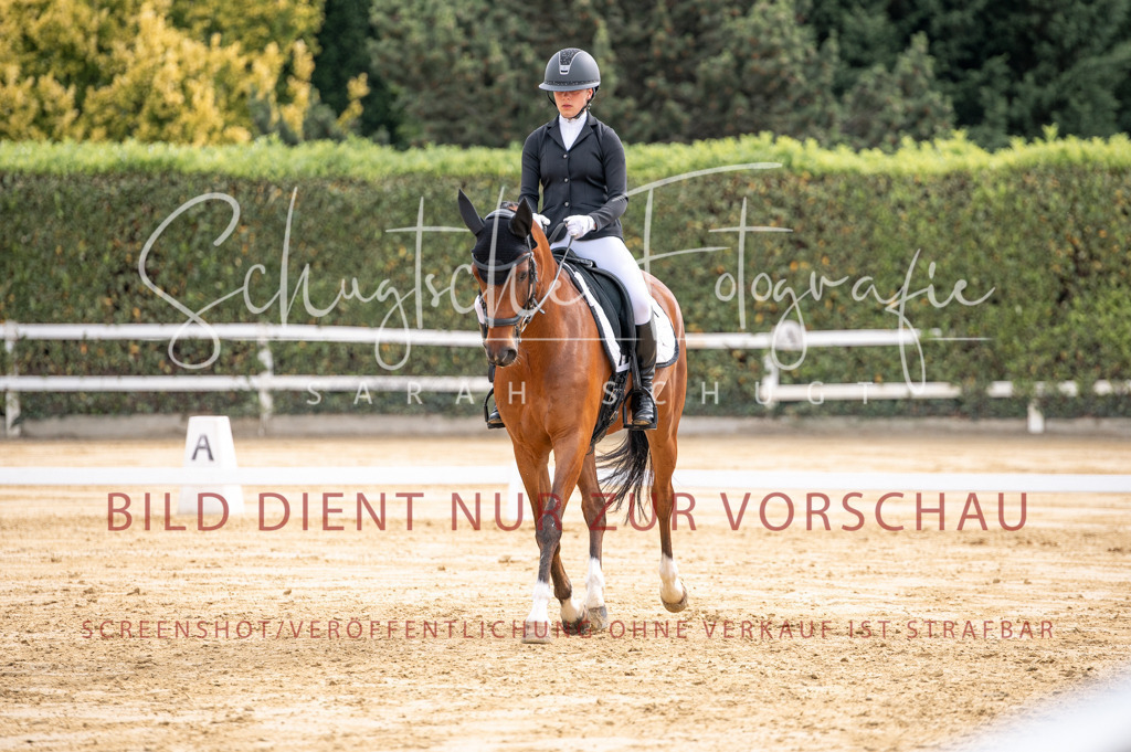 Schugtsche-Aluta25-40.DressurprfA_-271 | Schugtsche Fotografie - Realisiert mit Pictrs.com