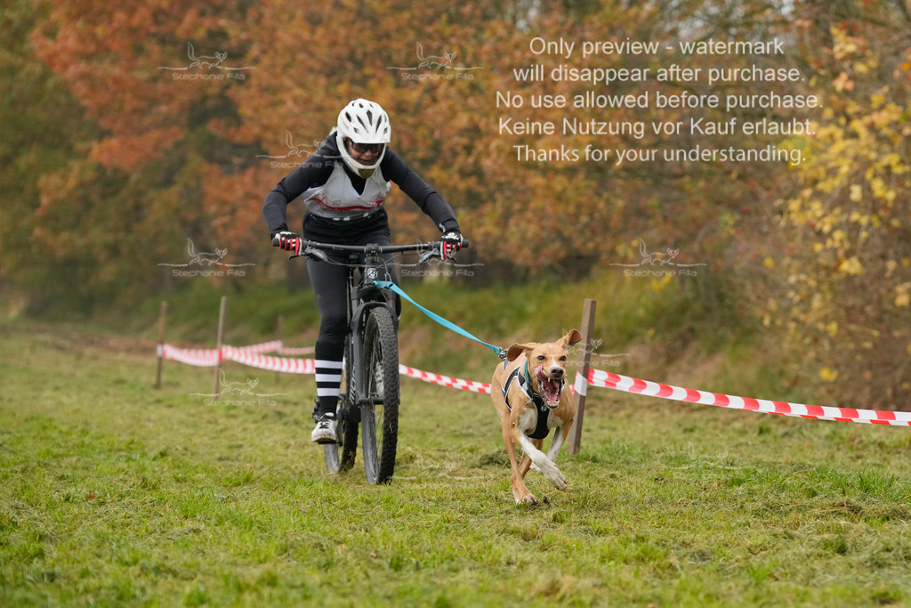 Visbeck_Sa_Bike-47 | stephaniefillaphotographie - Realisiert mit Pictrs.com