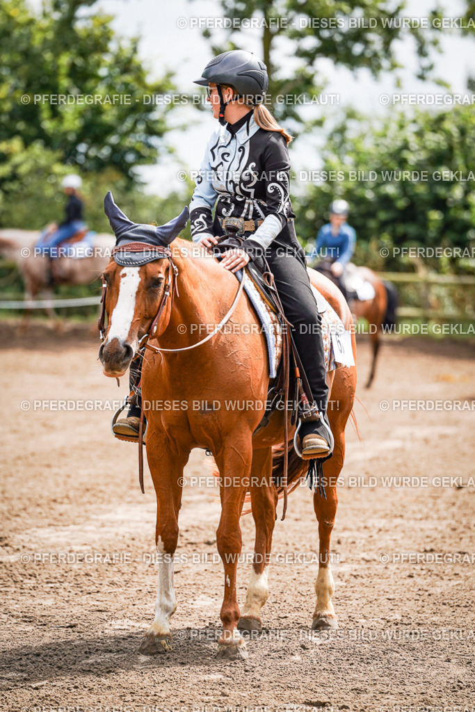 DSC05767 | Pferdegrafie