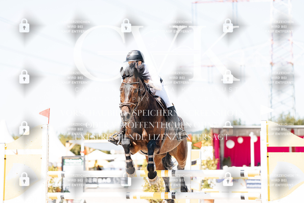 CK909937 | Turnierfotografie Pferdefotografie Trier Rheinland-Pfalz Pferdesport Reitsport Tierfotografie Sportfotografie Pferdevideo Pferdevideografie Equestrianvideography equestrianphotography  - Realisiert mit Pictrs.com