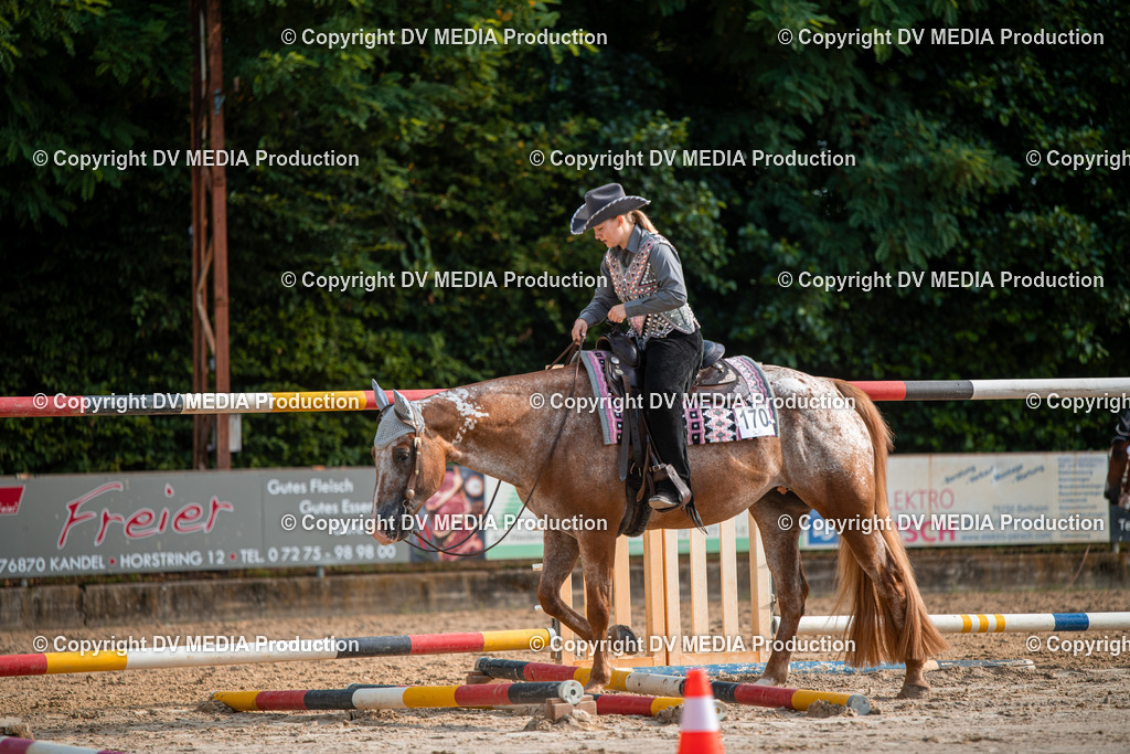 ZS3_9081 | dv-media-shop - Realisiert mit Pictrs.com