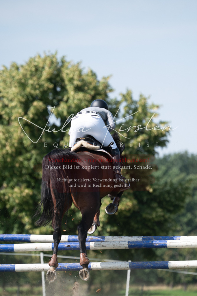 DSC_0896 | Pferde- und Turnierfotografie in Westsachsen. Pferdeportraits, Auftragszeichnungen und intuitive Kunst.