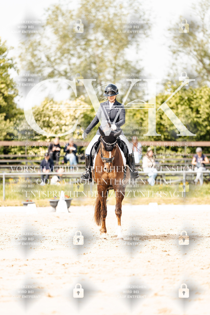 CK901286 | Turnierfotografie Pferdefotografie Trier Rheinland-Pfalz Pferdesport Reitsport Tierfotografie Sportfotografie Pferdevideo Pferdevideografie Equestrianvideography equestrianphotography  - Realisiert mit Pictrs.com