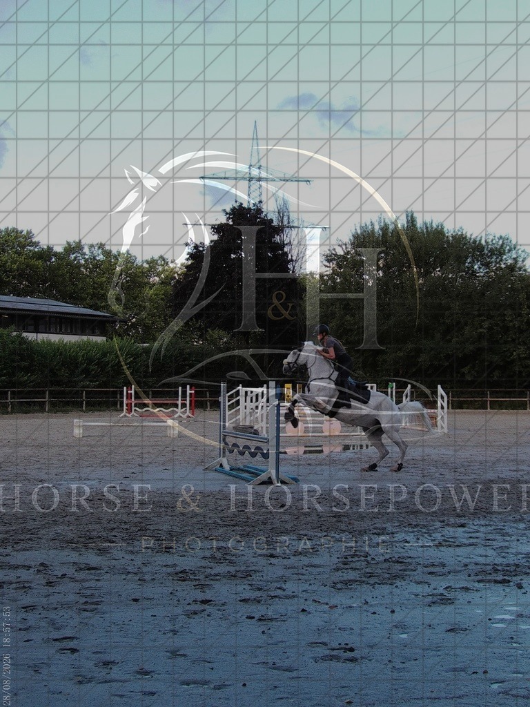 1787943473___C0700291 | handhphotographie - Realisiert mit Pictrs.com