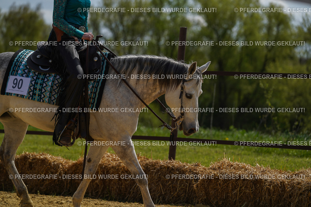 DSC04558 | Pferdegrafie