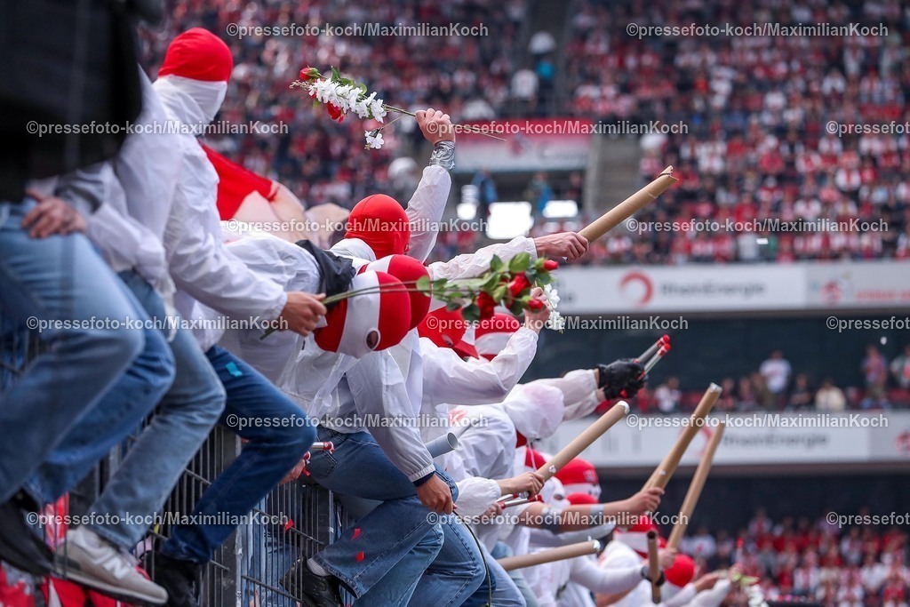 1FC20042501136 | 20.04.2025, Fußball, 1. FC Köln - Preußen Münster, 2.. Fußball Bundesliga, 30. Spieltag, RheinEnergie-STADION, Saison 2024 2025: Choreografie in der Südkurve Ultras des 1.FC Köln auf dem Zaun - banner Eure Strafen Zünden nicht, Wir Schon! Ultras zünden Konfetti Kanonen Konfettikanonen - Ein anderes Man, versprochen. Ultras sitzen mit Blumen Rosen in der Hand auf dem Zaun der TribüneDFB regulations prohibit any use of photographs as image sequences and or quasi-video.