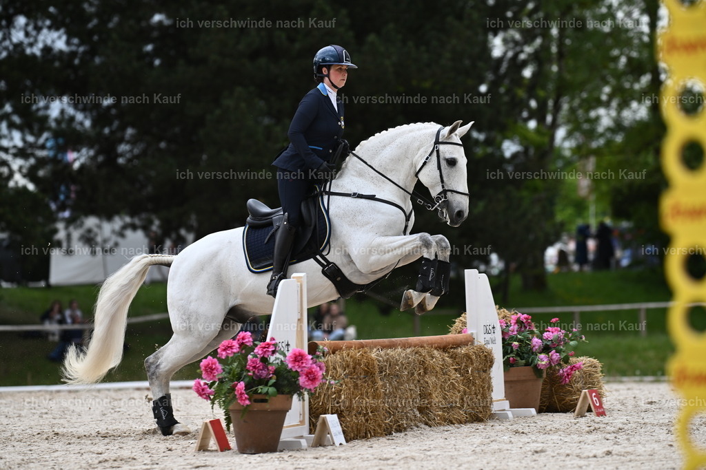 PI26_ST_Sara_Landvogt226_4217.JPG | working equitationturnier fotograf videograf stoibphotography marixx film working equitation deutschland reitsport turnierfotografie eventfotografie equestrian events