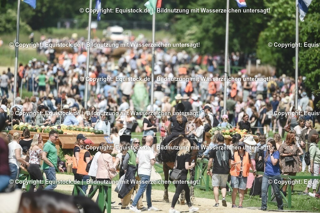 TP5_1358 | equistock