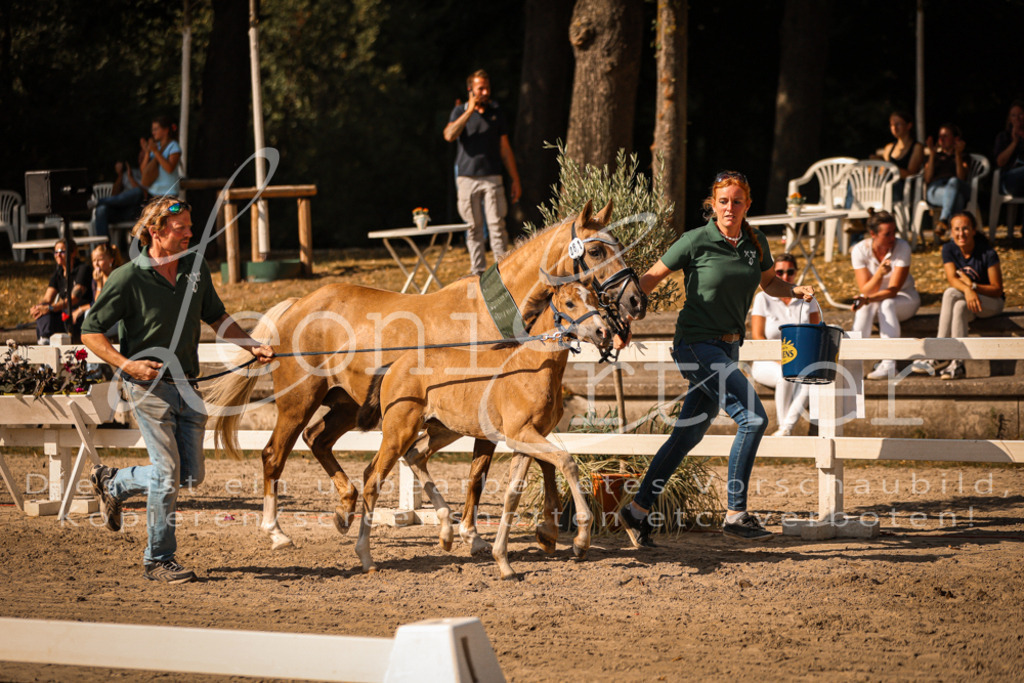 10.DoRP00243 | Leoni Ertmer Photography - Realisiert mit Pictrs.com