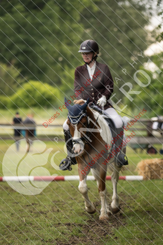 IMG_8493 | Sport-, Event- und Tierfotos in Profiqualität. Einfach auswählen, bestellen und herunterladen. Dein Moment – perfekt festgehalten.