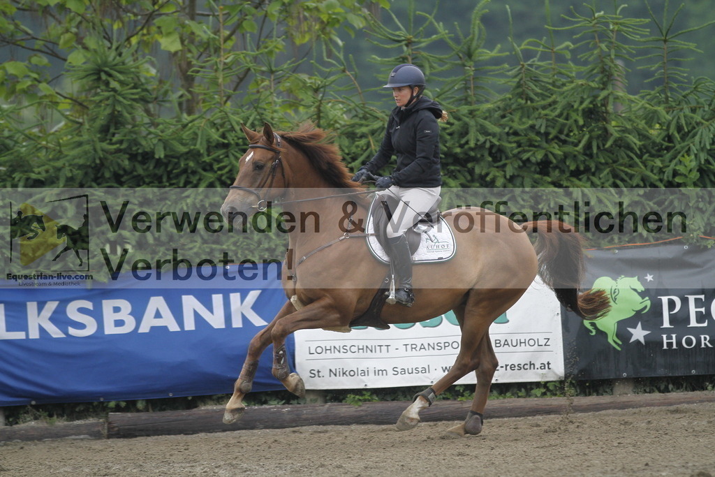 _MG_6631 | equestrian-live-com