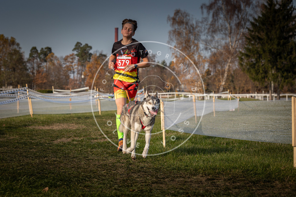 CaniXpix_0L8A9695 | Hundefotografie, Tierfotograf, Pfotenfotografie, Fotoshooting Hund, Hunde Portrait, Hundesport, Hundeportraits, Heideshooting, Hunde, Sportfotograf, Hundefotograf, Turnierhundsport, THS,  - Realisiert mit Pictrs.com