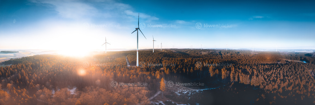 DANIEL-GIMMER-PHOTOGRAPHY_LOEWENBLICKE_0614 | löwenblicke | shop