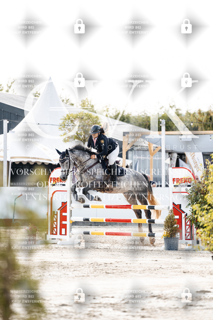 CK906228 | Turnierfotografie Pferdefotografie Trier Rheinland-Pfalz Pferdesport Reitsport Tierfotografie Sportfotografie Pferdevideo Pferdevideografie Equestrianvideography equestrianphotography  - Realisiert mit Pictrs.com