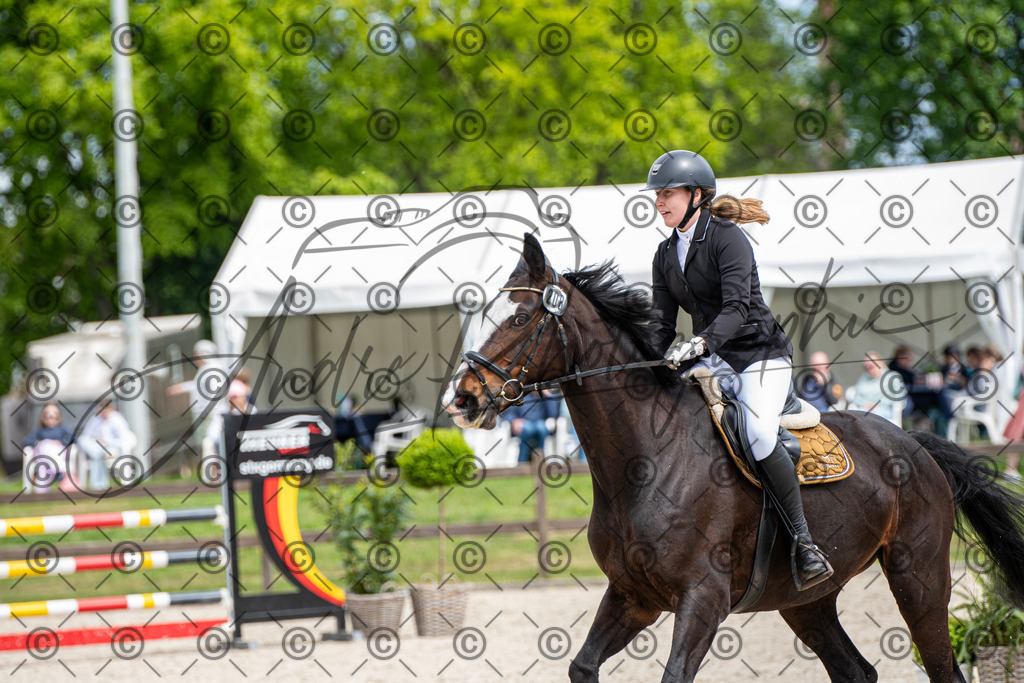 KPT_5536 | andre_photographic