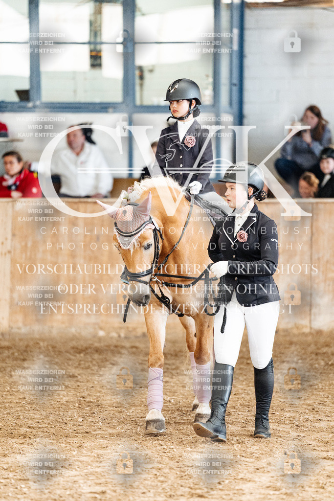 CK905772 | Turnierfotografie Pferdefotografie Trier Rheinland-Pfalz Pferdesport Reitsport Tierfotografie Sportfotografie Pferdevideo Pferdevideografie Equestrianvideography equestrianphotography  - Realisiert mit Pictrs.com