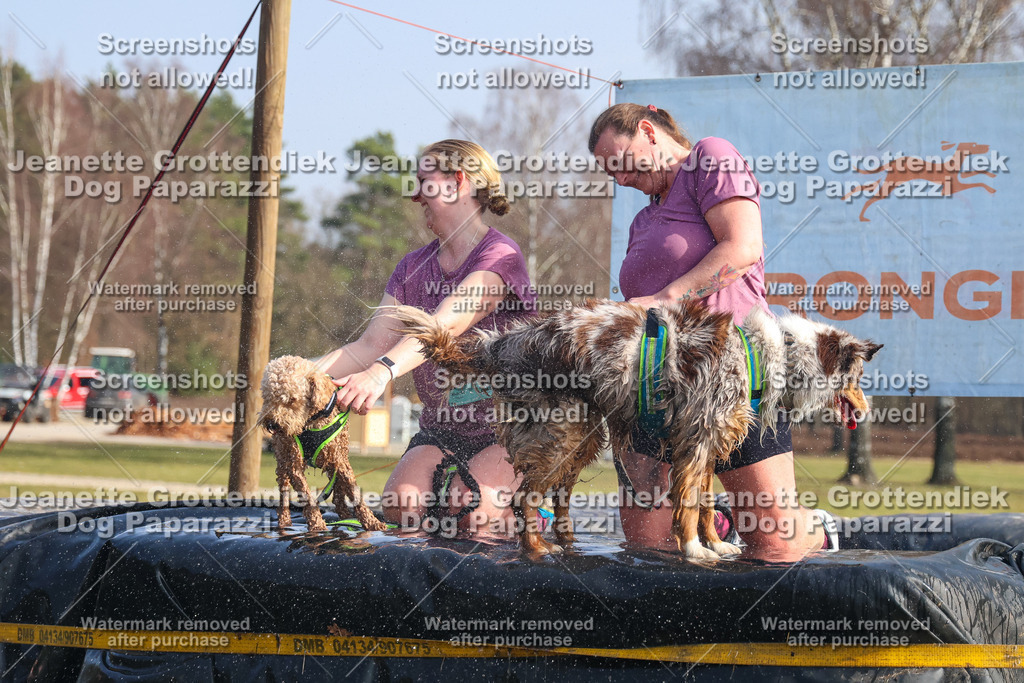 Dog Paparazzi - Strongdog North Mrz26-1893 | Dog Paparazzi Jeanette Grottendiek Fotografie & Videografie - Realisiert mit Pictrs.com