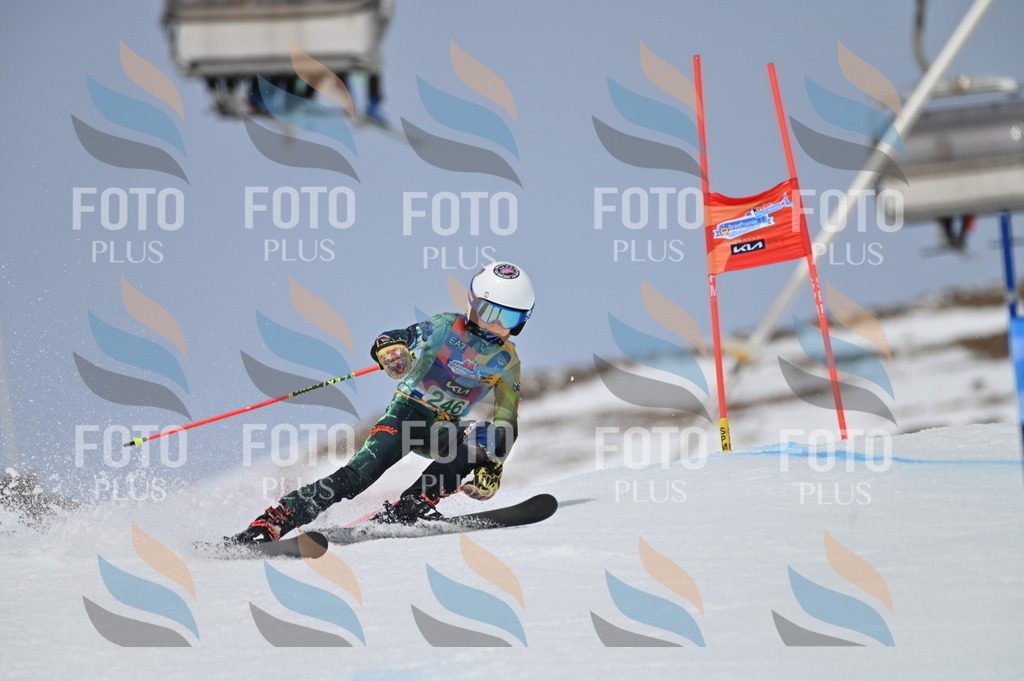 BGV_4866 | holidayphoto