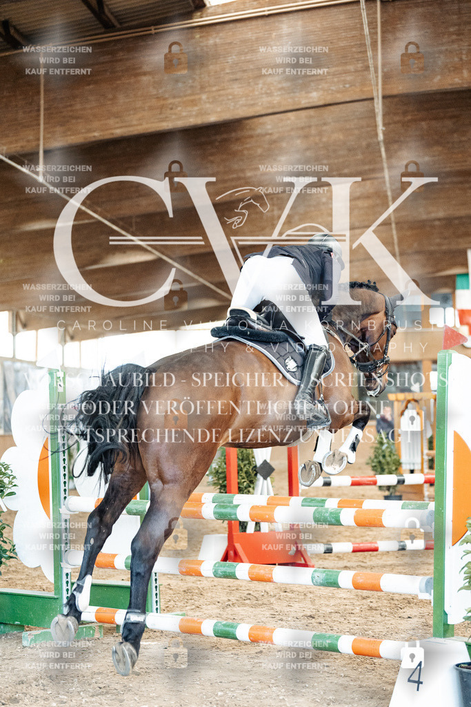 CK905262 | Turnierfotografie Pferdefotografie Trier Rheinland-Pfalz Pferdesport Reitsport Tierfotografie Sportfotografie Pferdevideo Pferdevideografie Equestrianvideography equestrianphotography  - Realized with Pictrs.com