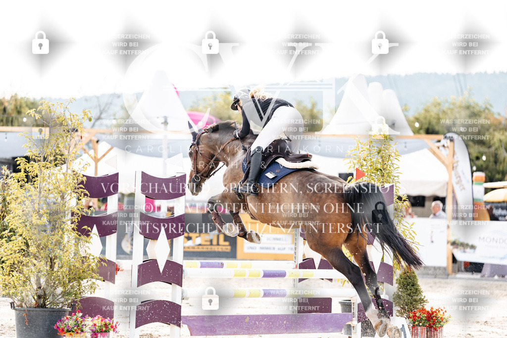 CK907067 | Turnierfotografie Pferdefotografie Trier Rheinland-Pfalz Pferdesport Reitsport Tierfotografie Sportfotografie Pferdevideo Pferdevideografie Equestrianvideography equestrianphotography  - Realisiert mit Pictrs.com