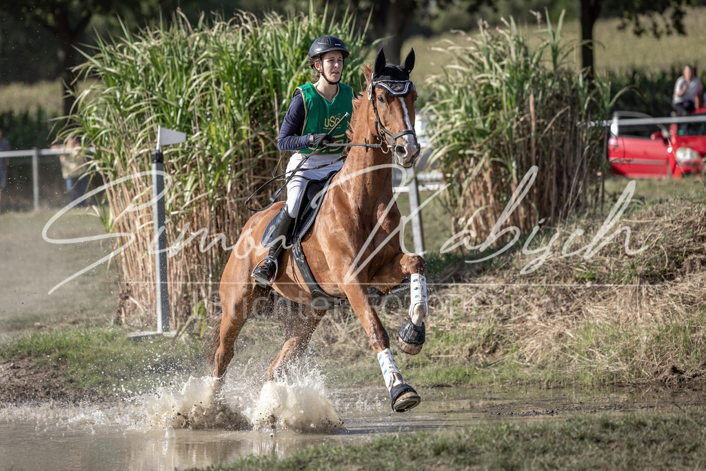 20250907-_3LI3626 | Tierfotografie Pferde, Hunde, Katzen, Haustiere.
Turnierfotografie Reitturniere, Reiten, Springreiten, Dressur in Hanau, dem Main-Kinzig-Kreis und dem Rhein-Main- Gebiet um Frankfurt